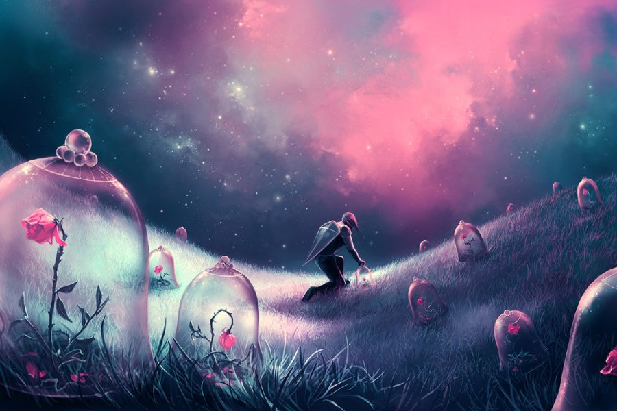 photo